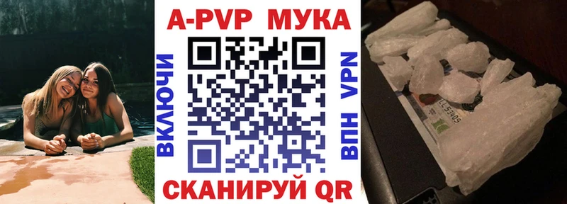 Альфа ПВП СК КРИС  где найти   Гвардейск 