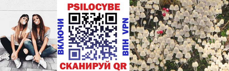 Галлюциногенные грибы Psilocybe  Гвардейск 
