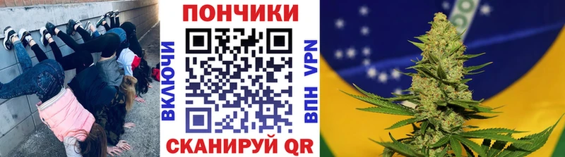 Каннабис OG Kush  MEGA сайт  Гвардейск 